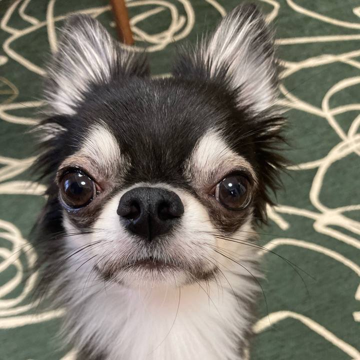 712b4048 e326 48b1 b9d6 4e85521b8bd5 1632612713133