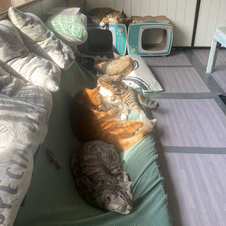 712b4ba9 d110 4d94 ac6f eaab00e3980b 1663372592045