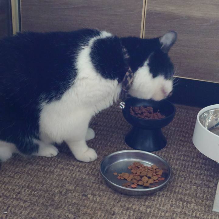 712b5268 ca66 46f3 962e 00b45bd47641 1759551229500