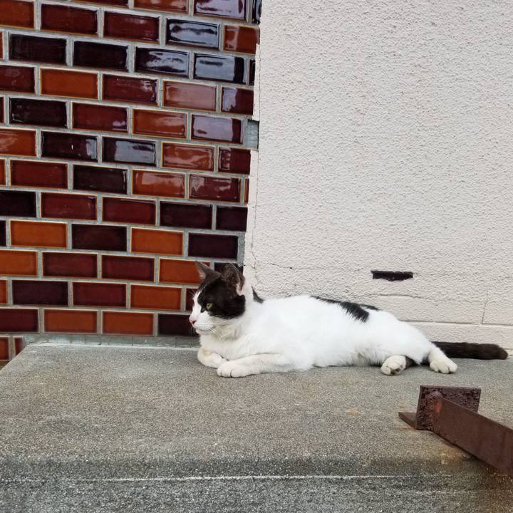 712b64bd c047 48e0 a12d 3014bc7b2d71 1656263789942