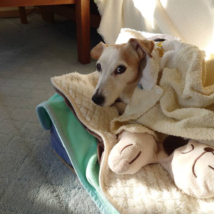 712b7b22 2477 4dac 82b8 3c0c1c871007 1765237594543