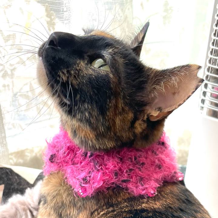 712b8bd3 5fce 4b99 a08f 15feafa6a2d8 1739602065188