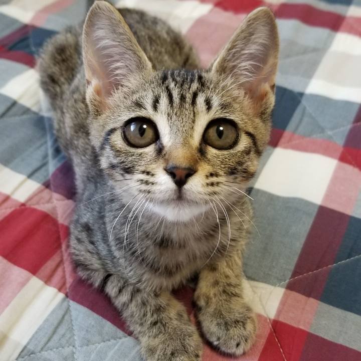 712bdae6 c471 412d 9875 3ff5c367f1c7 1537791618313