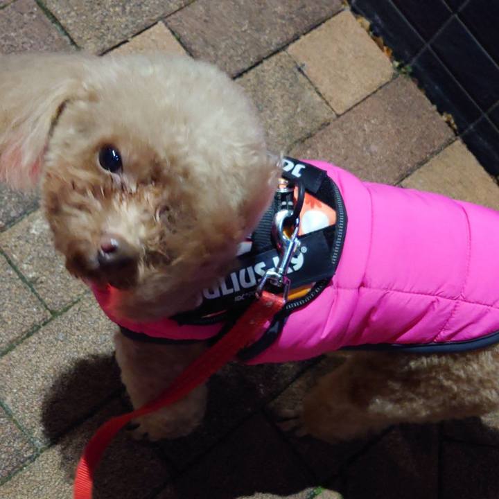 712c2a80 6592 4f5d 8116 8dbe35f2e79b 1734859180237