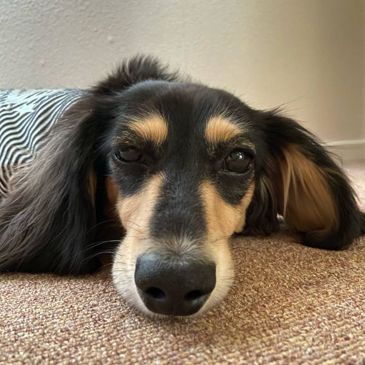 712c9fe2 62af 4869 a051 255dcb454df4 1688439293803