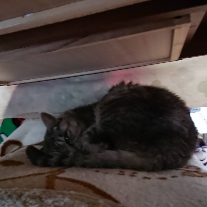 712cc73f 4672 4765 a91c 32b4878afda3 1572073622633