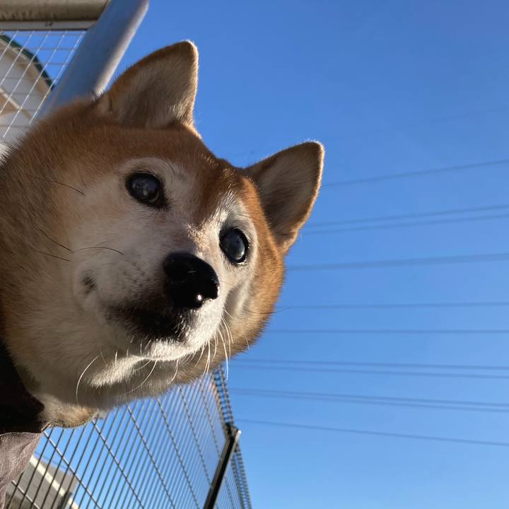 712cd48f 24b5 41f0 9fdf 9e7470c1dd64 1701478837917