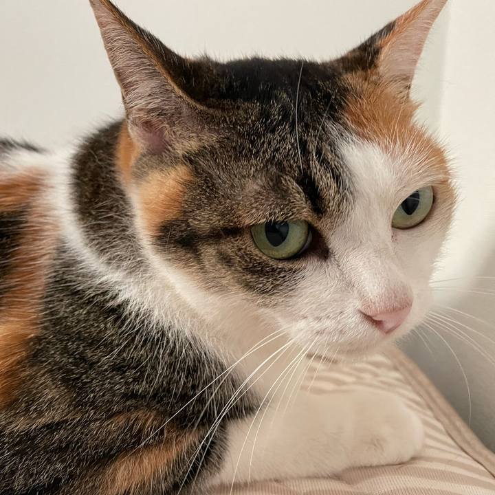 712cd7b5 a12b 4205 b6f9 c9f6fa727d64 1659129534767