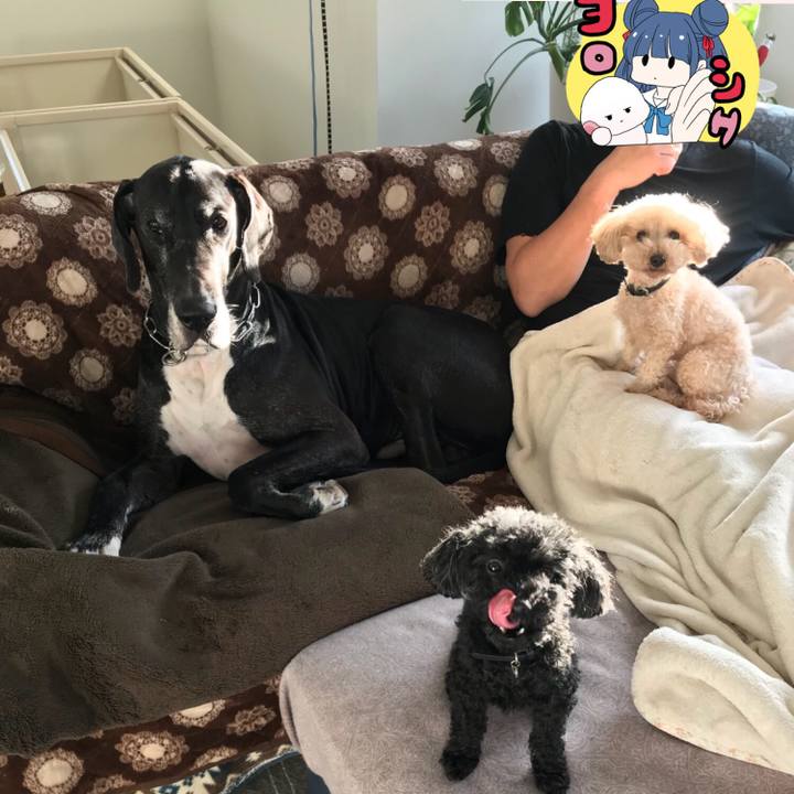 712ce471 3050 4412 a0af 45471e4bb6a7 1513551479791