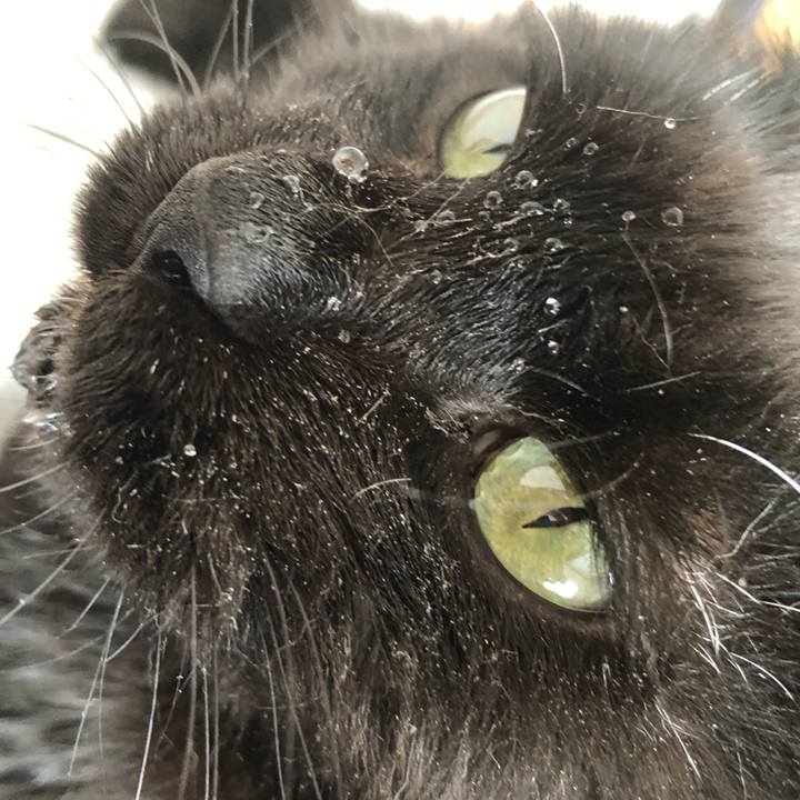 712cf0aa b568 4bc8 bd33 01598db76823 1640921673083