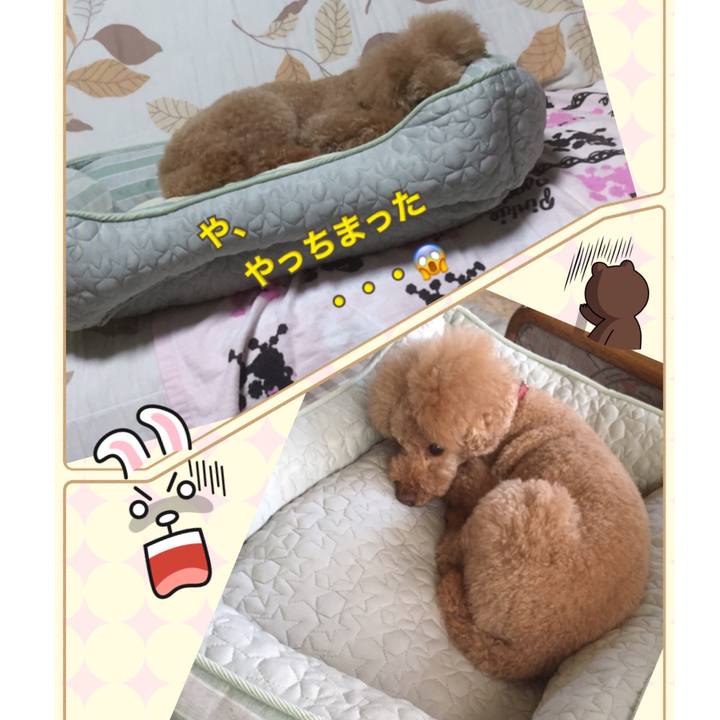 712cf69a ca61 40ed 9ca3 5ced7a692ab4 1527844754873