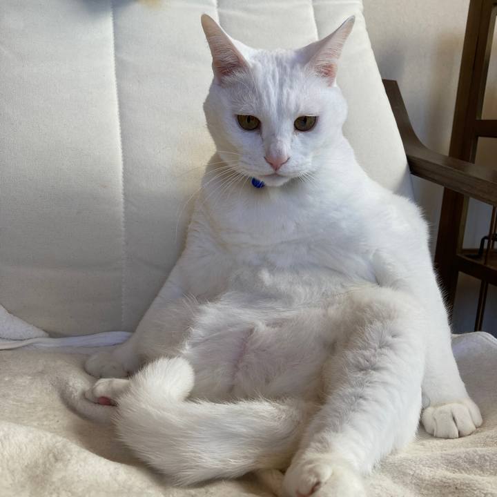 712d0ca8 a3a3 41c0 aea2 f04ec4b5ef0f 1672107070725