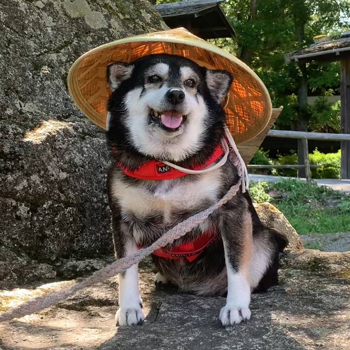 712d2687 d579 4c8e 8f24 a59588c49d9d 1718849868182