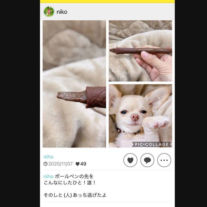 712d4695 246f 4b26 9d17 bc58aa48da8c 1731413145033