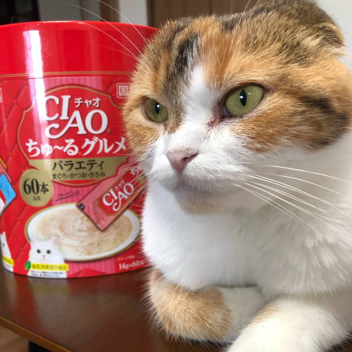 712d7f69 a32e 4e87 af4b f79a1ae4cc20 1563150814908