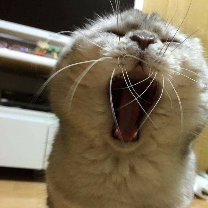 712db3a3 b33b 485a 93a1 5ceb0ce44bd2 1524905195457