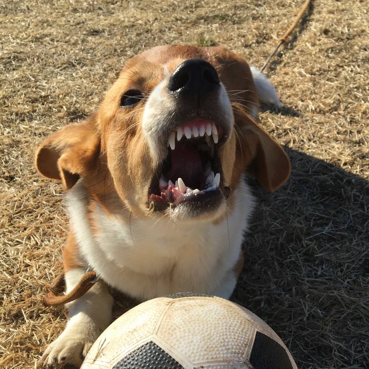 712dcf0f 03b5 4415 9816 4336897eff2c 1613695549170