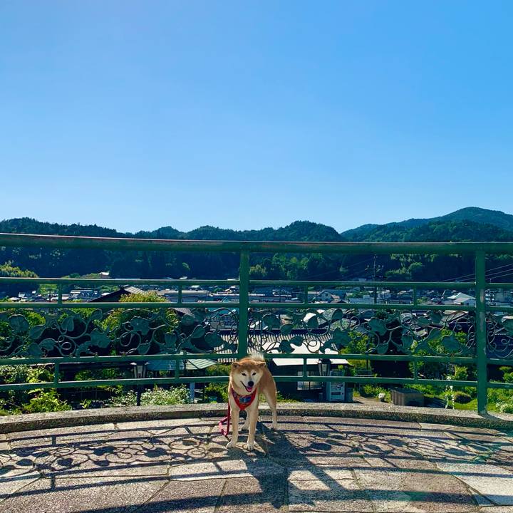 712e59d7 744b 4681 b644 a5227db44222 1622364155173