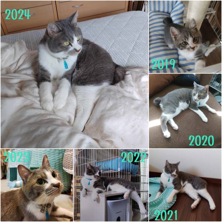 712e87e0 f8b9 4531 80e5 bb29e646302a 1718075792179