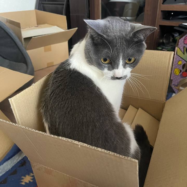 712eb9d1 b591 4ebb b509 e2bd6a39b32c 1646810407060