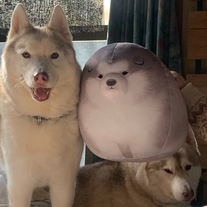 712ebc62 98d6 4b93 9d6a a9bbf9f5f67a 1704642187131