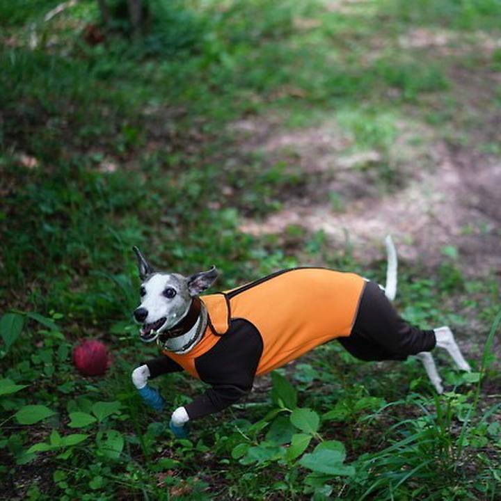 712ee78e eba2 4bd5 8f34 00231a55955b 1532609515244