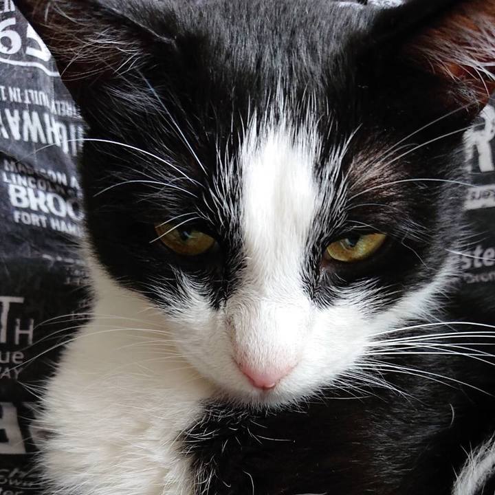 712f0465 78bc 4164 8cf6 ed88fd20d7c0 1562255506343