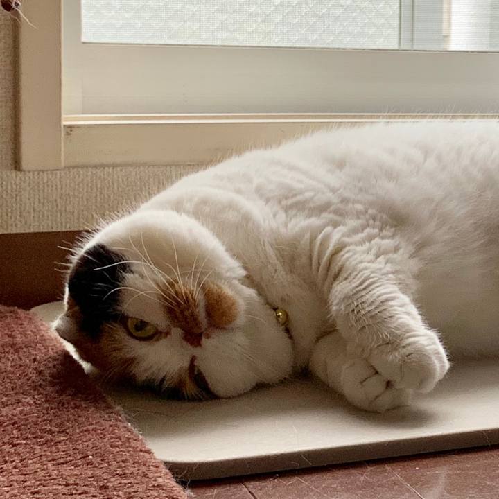 712f19dd 4135 4b5c bfe4 ee778ad6fa9f 1566089322255