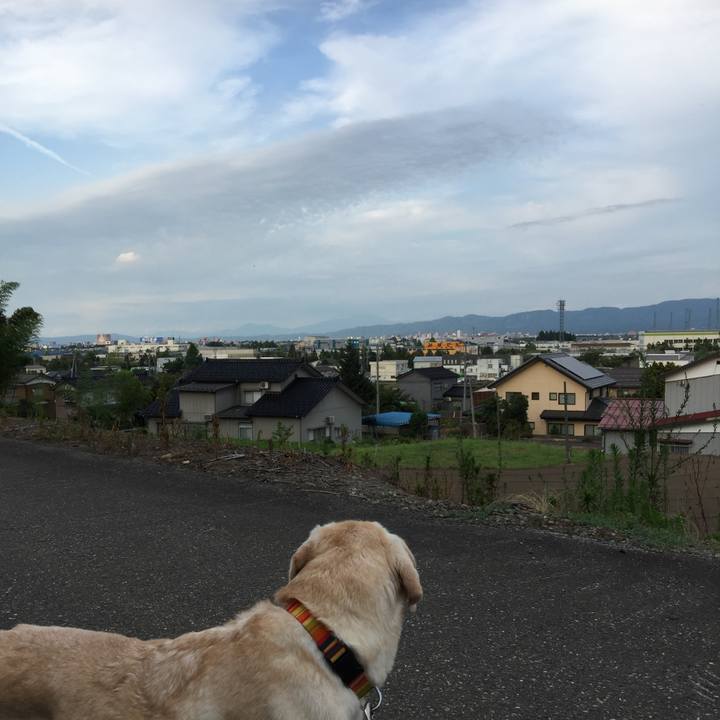 712f4c67 d301 4b99 b321 1110cb602ef2 1533207755148