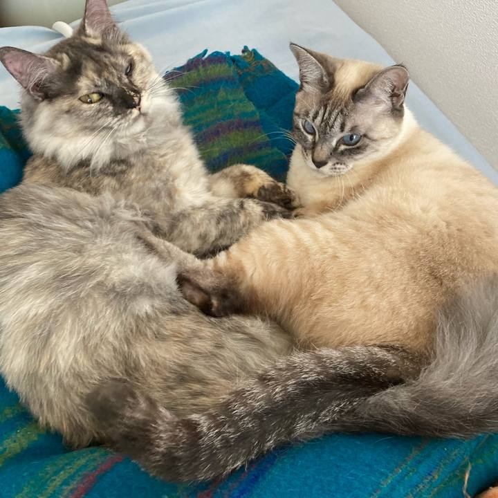 712f5baa 87e4 4b27 a087 9362557da7e6 1707620566449