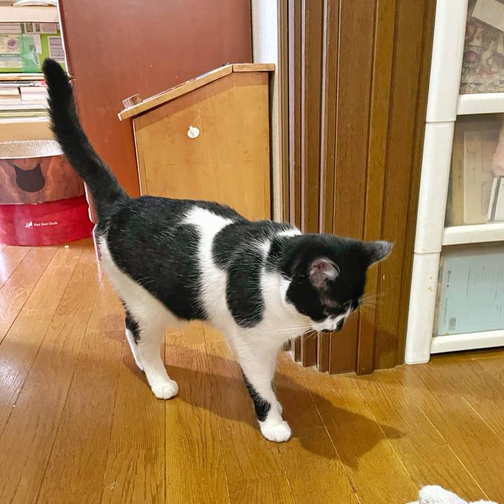 712f969f 7be7 4ea2 b493 c5530691813d 1752619988214