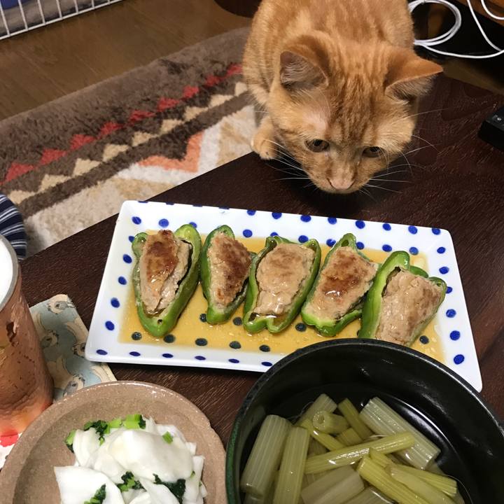 712fb9df d947 493f b0dd 0f66d20da421 1523451873742