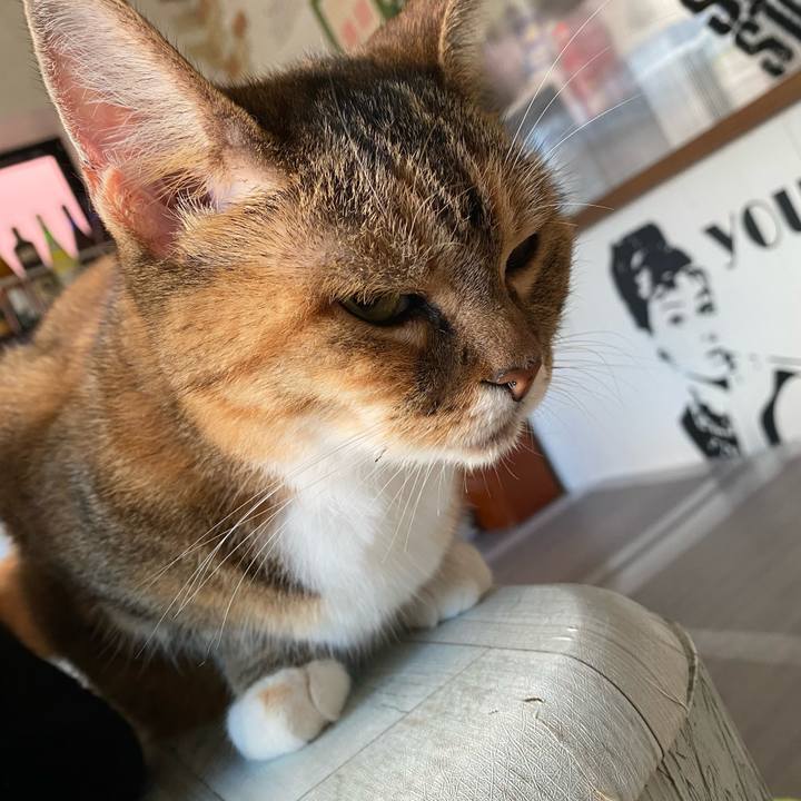 712fd433 ffb6 4705 b456 c5a56afeda09 1629319789280