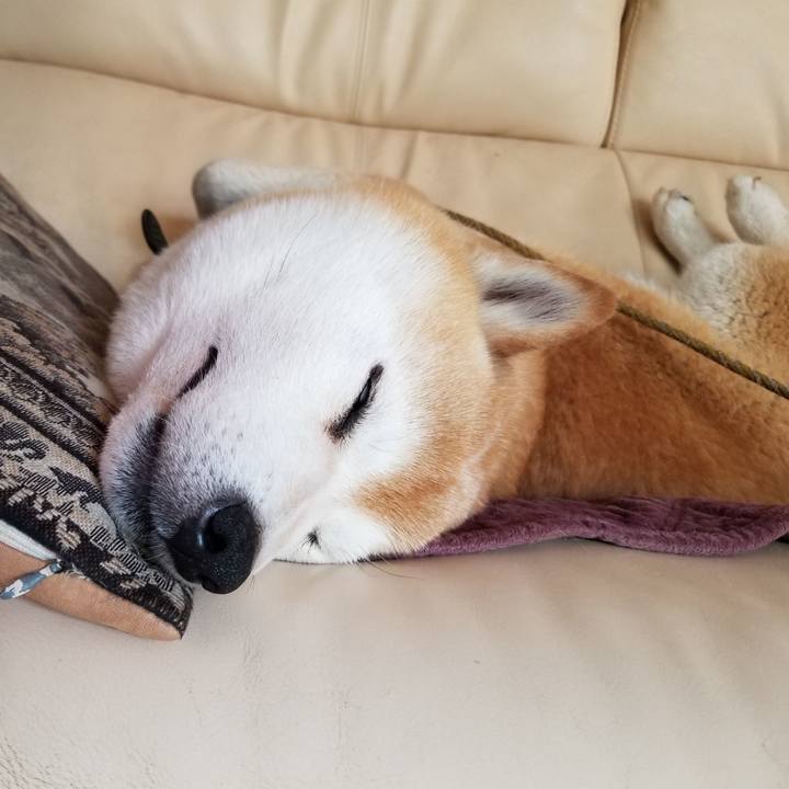 712fdcd5 c088 4557 abba ce8553b9612d 1655601280700