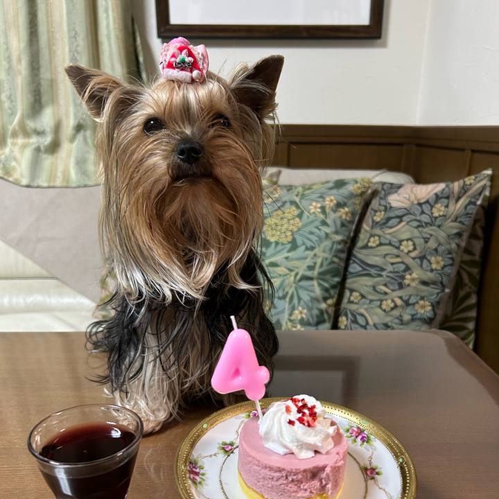 712feb16 0c40 4d6f a790 2814c7832704 1732277371492