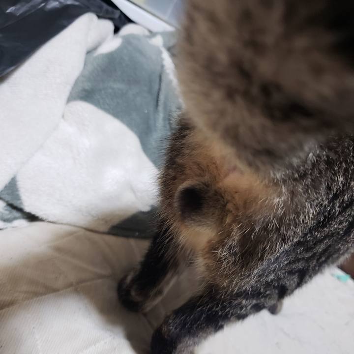 712ffab6 7662 40e6 8a8f 6c7f03762e91 1543657542908