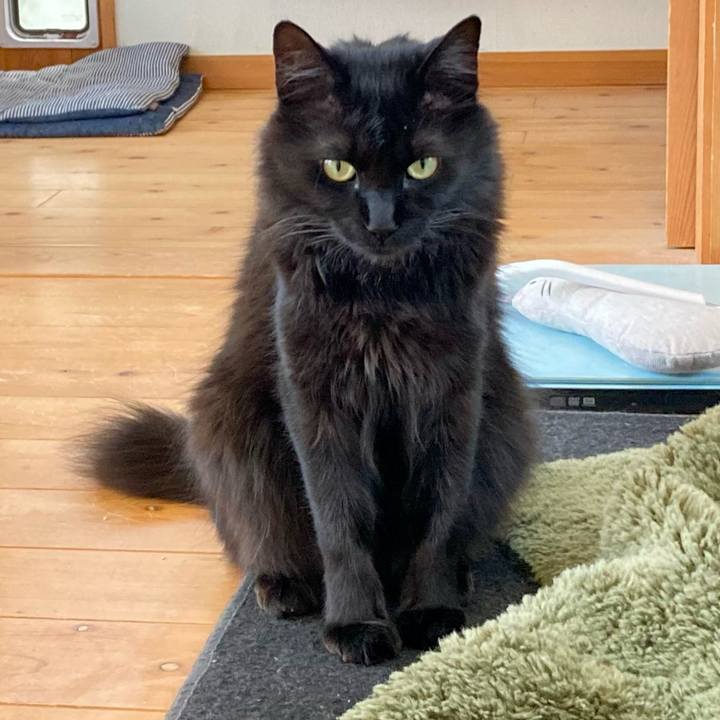 71309c88 bfca 46fb a1d0 cca47ee0af7d 1746947976817