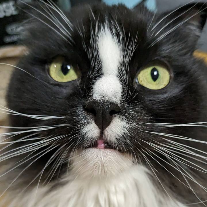 7130e06b 26c6 45bc 914b 9607d7bfae64 1699103494018