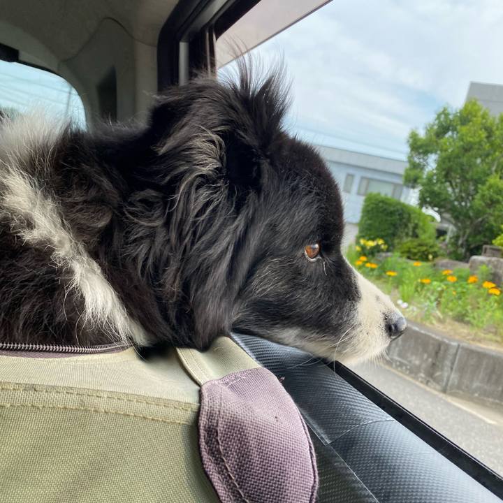 7130ec3a 685d 4787 bf42 8cf9b48aef1e 1687212413038