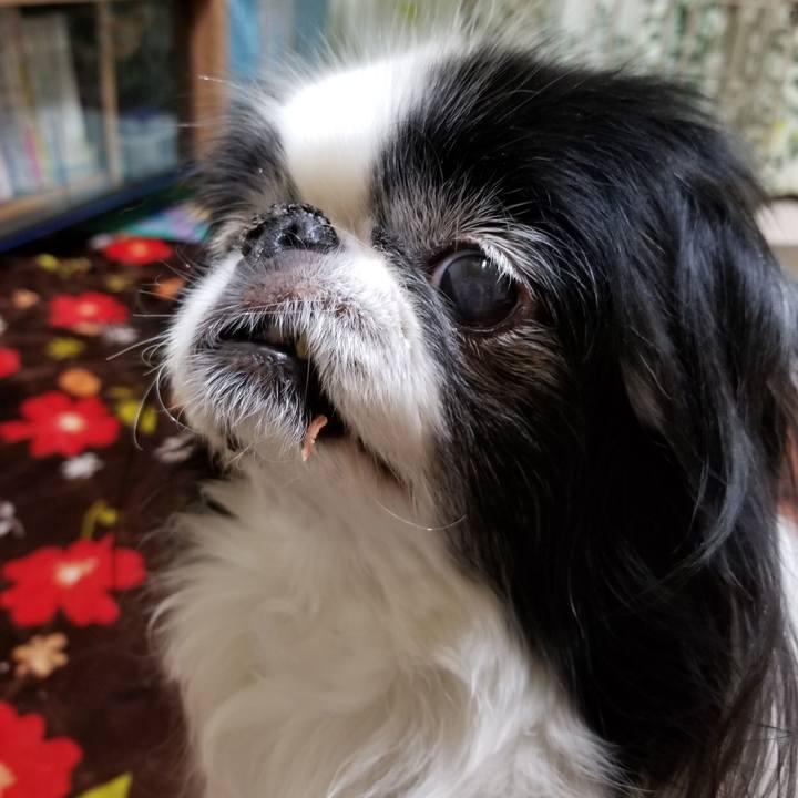 71312e9a ff76 4f88 b849 4be6491ba5b7 1553941874868