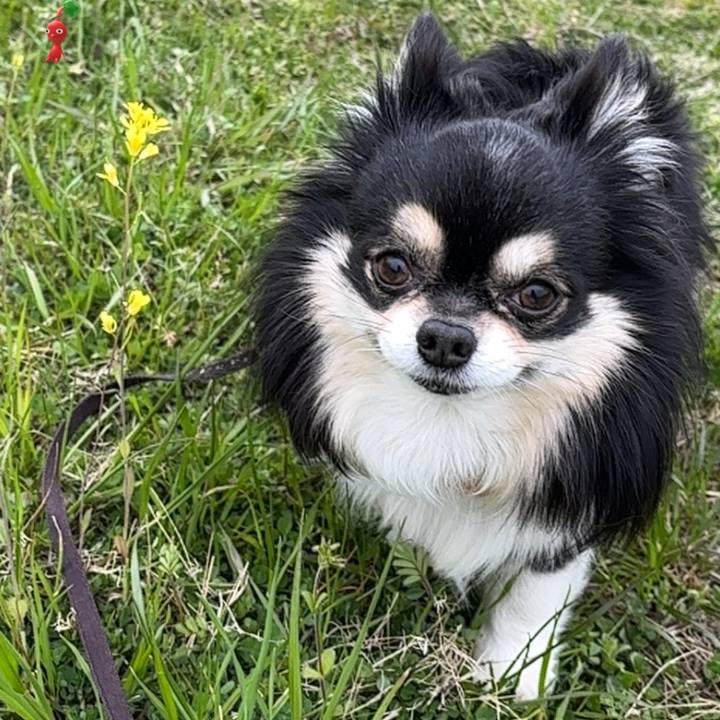 71314674 c728 4026 9a9d 4f186ecc67dd 1758854663253