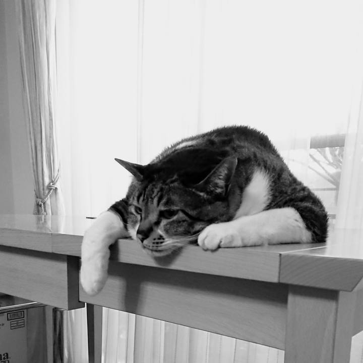 71315a89 0958 46c6 8a48 85bc4ea7b402 1531435793464