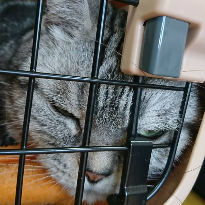 713189c4 edcb 4d4f 8968 e31bb8eef205 1524976698960