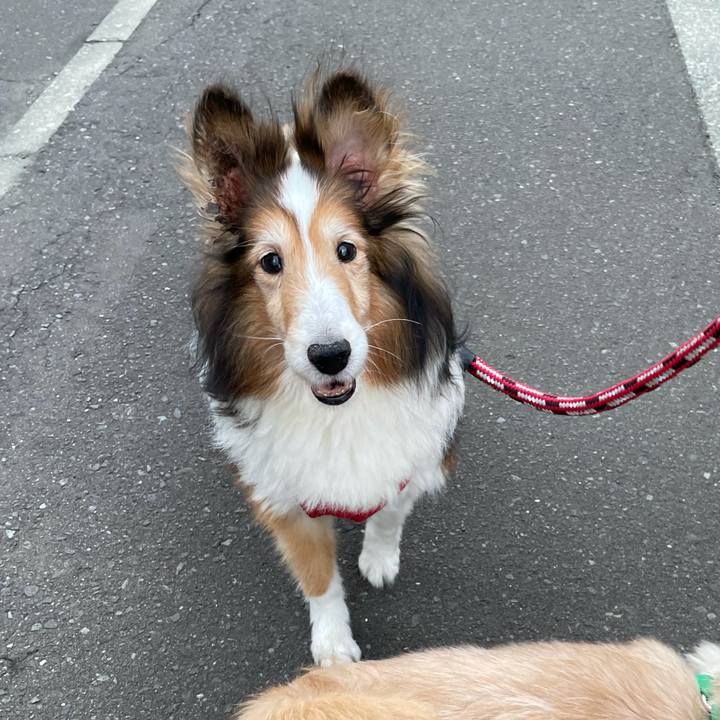 7131a695 df69 468f a81c f7e950a5ed1c 1630404655979