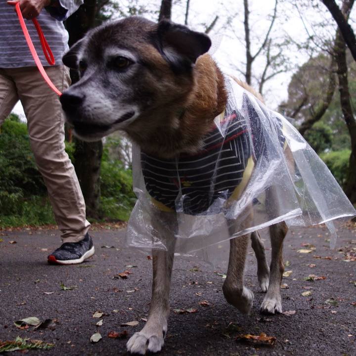 7131cb4e 3fe3 4f17 823d 36a5c76424c8 1571013704435