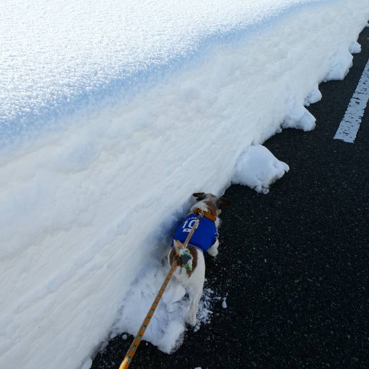 7131d042 db27 4159 a1c1 1c6846f6e94e 1610275679618