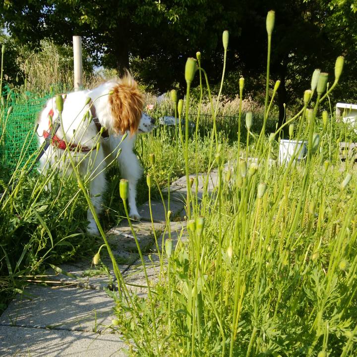 7131d929 50bb 4965 a5fe 190d5c1407d9 1525437208744