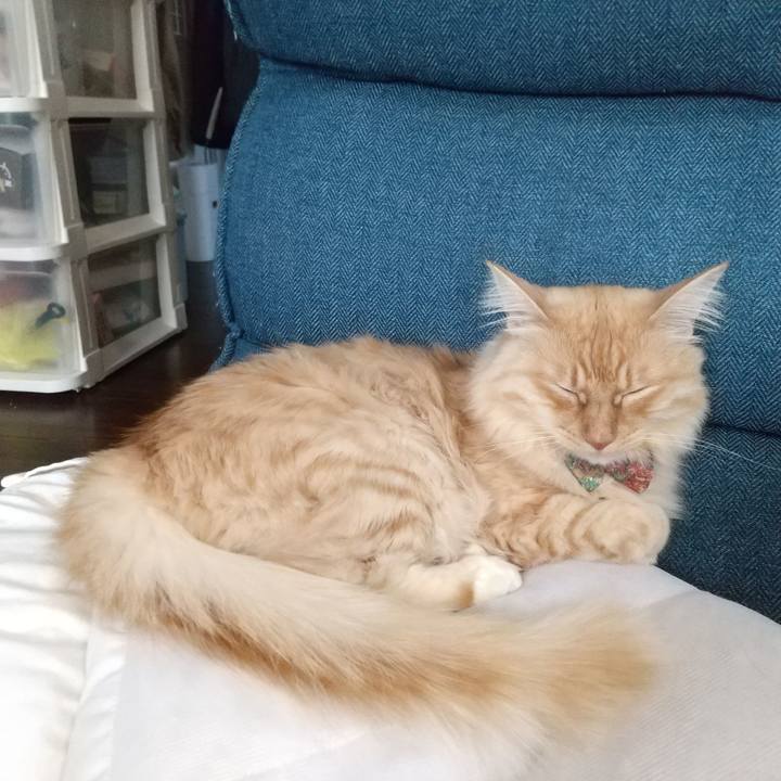 7132160d da20 4826 8e96 2db04e7b5dc8 1643793661301