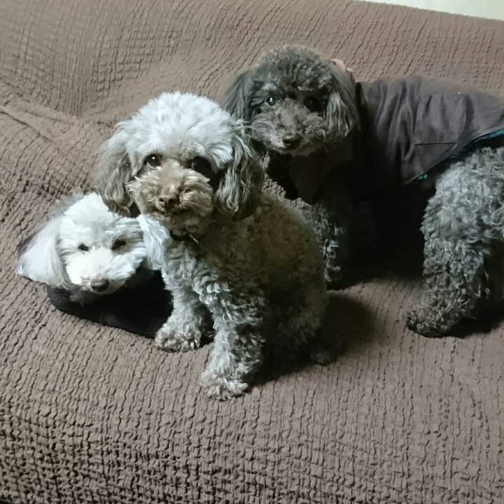 713223e3 6a73 4e77 a088 ce84397b64f1 1522919723352