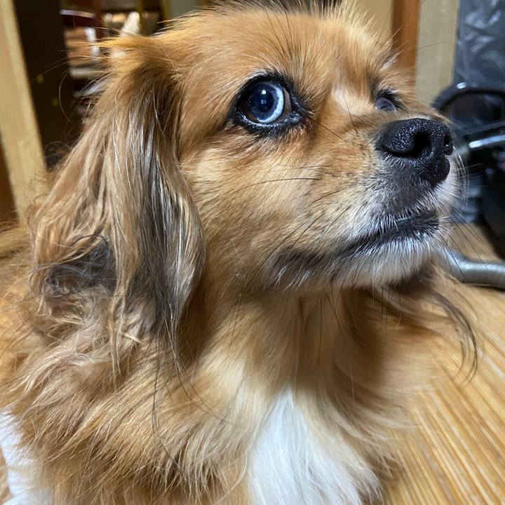 71322949 9707 4794 9839 505497d28513 1665611842204